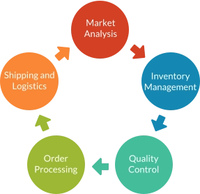 Market Analysis Inventory Management Quality Control Order Processing Shipping and Logistics